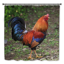 Colorful Rooster Bath Decor 89278998