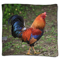 Colorful Rooster Blankets 89278998