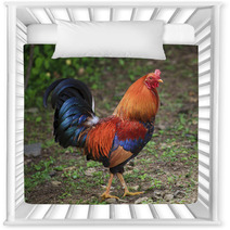 Colorful Rooster Nursery Decor 89278998
