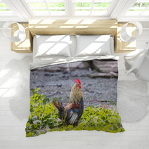 Colorful Rooster On A Farm Bedding 99701962