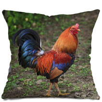 Colorful Rooster Pillows 89278998