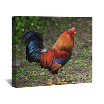 Colorful Rooster Wall Art 89278998