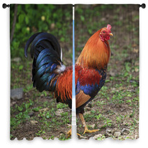 Colorful Rooster Window Curtains 89278998