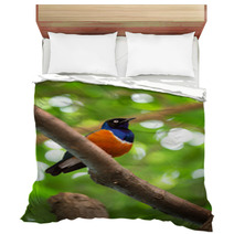 Colorful Superb Starling Bedding 65406177