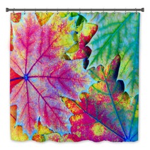 Colors Of Rainbow Bright Colorful Autumn Leaves Texture Background Bath Decor 225124618