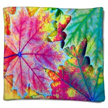Colors Of Rainbow Bright Colorful Autumn Leaves Texture Background Blankets 225124618