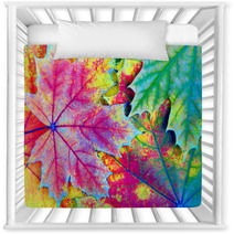 Colors Of Rainbow Bright Colorful Autumn Leaves Texture Background Nursery Decor 225124618