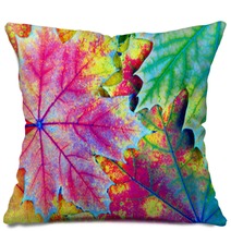 Colors Of Rainbow Bright Colorful Autumn Leaves Texture Background Pillows 225124618