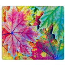 Colors Of Rainbow Bright Colorful Autumn Leaves Texture Background Rugs 225124618