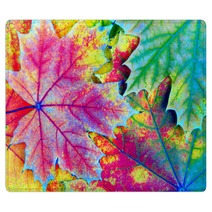 Colors Of Rainbow Bright Colorful Autumn Leaves Texture Background Rugs 225124618