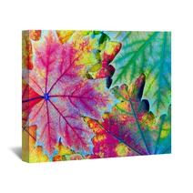 Colors Of Rainbow Bright Colorful Autumn Leaves Texture Background Wall Art 225124618