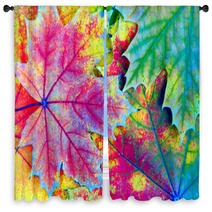 Colors Of Rainbow Bright Colorful Autumn Leaves Texture Background Window Curtains 225124618