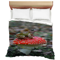 Common Frog Rana Temporaria Bedding 59485943