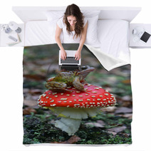 Common Frog Rana Temporaria Blankets 59485943