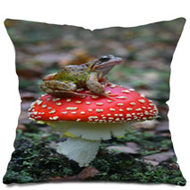 Common Frog Rana Temporaria Pillows 59485943