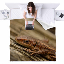 Common Lizard Blankets 66870345