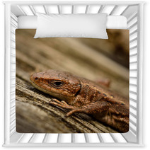 Common Lizard Nursery Decor 66870345