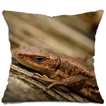 Common Lizard Pillows 66870345