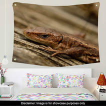 Common Lizard Wall Art 66870345