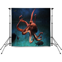 Common Octopus (Octopus Vulgaris). Backdrops 87205153