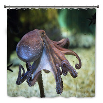 Common Octopus (Octopus Vulgaris). Bath Decor 85623986