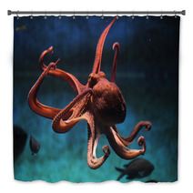 Common Octopus (Octopus Vulgaris). Bath Decor 87205153