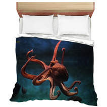 Common Octopus (Octopus Vulgaris). Bedding 87205153