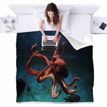 Common Octopus (Octopus Vulgaris). Blankets 87205153