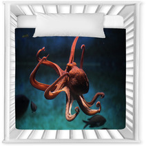 Common Octopus (Octopus Vulgaris). Nursery Decor 87205153
