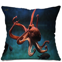 Common Octopus (Octopus Vulgaris). Pillows 87205153