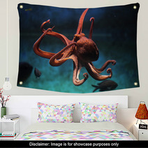 Common Octopus (Octopus Vulgaris). Wall Art 87205153