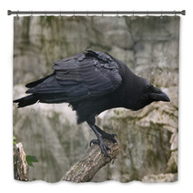 Common Raven (Corvus Corax). Bath Decor 86513045