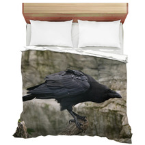 Common Raven (Corvus Corax). Bedding 86513045