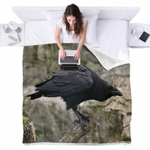 Common Raven (Corvus Corax). Blankets 86513045