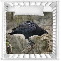 Common Raven (Corvus Corax). Nursery Decor 86513045