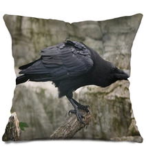 Common Raven (Corvus Corax). Pillows 86513045