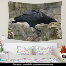 Common Raven (Corvus Corax). Wall Art 86513045