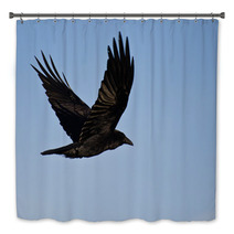 Common Raven Flying In A Blue Sky Bath Decor 64117478