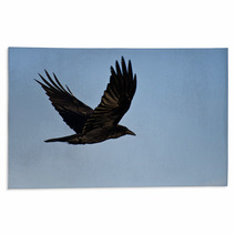 Common Raven Flying In A Blue Sky Rugs 64117478