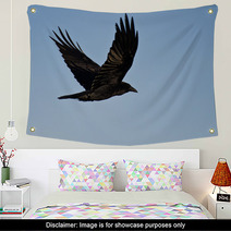 Common Raven Flying In A Blue Sky Wall Art 64117478