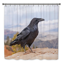 Common Raven On A Rock Ledge Bath Decor 56657118