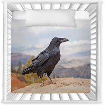 Common Raven On A Rock Ledge Nursery Decor 56657118