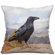 Common Raven On A Rock Ledge Pillows 56657118