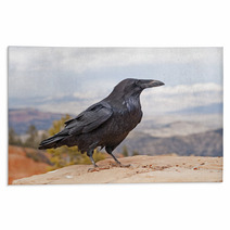 Common Raven On A Rock Ledge Rugs 56657118