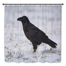 Common Raven On Snowy Grass Bath Decor 99955436