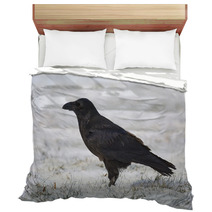 Common Raven On Snowy Grass Bedding 99955436