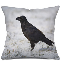 Common Raven On Snowy Grass Pillows 99955436