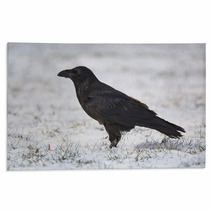 Common Raven On Snowy Grass Rugs 99955436