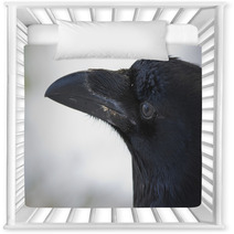 Common Raven Portrait Nursery Decor 99955409