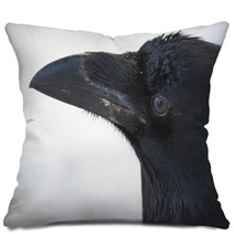 Common Raven Portrait Pillows 99955409